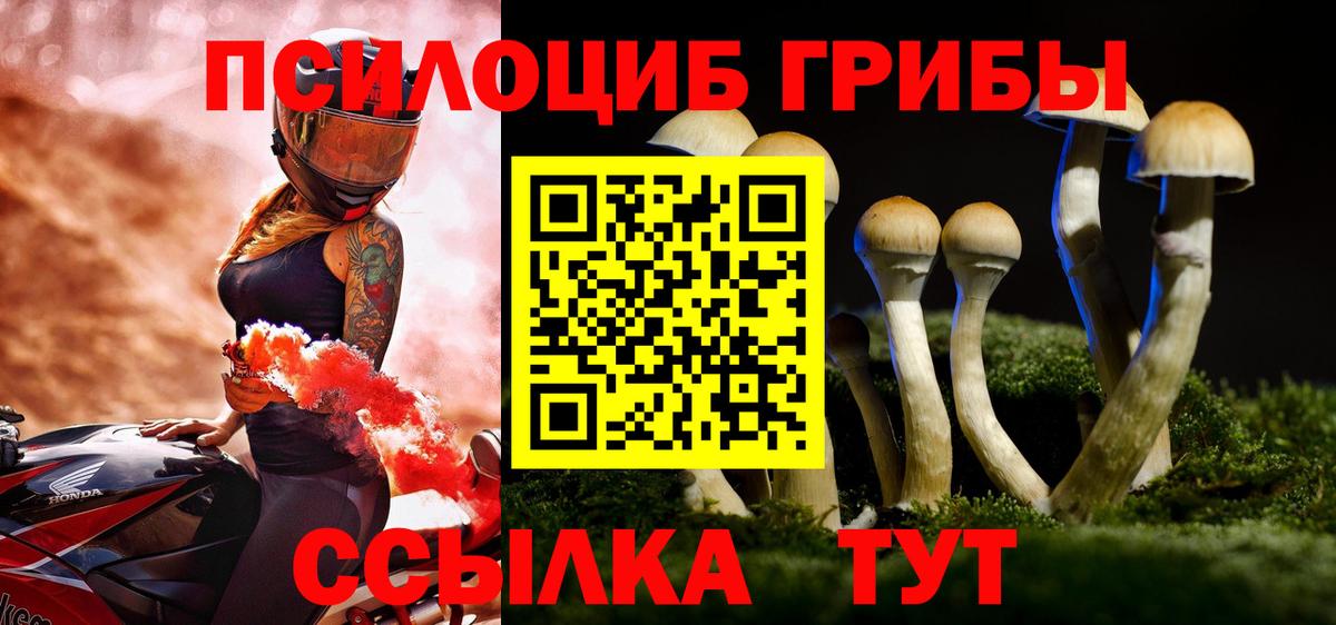 Галлюциногенные грибы GOLDEN TEACHER Мирный