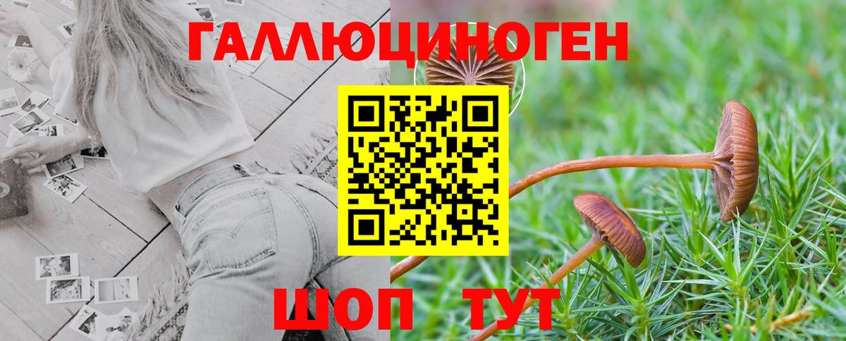 Мирный  Галлюциногенные грибы мухоморы  Вход с VPN 